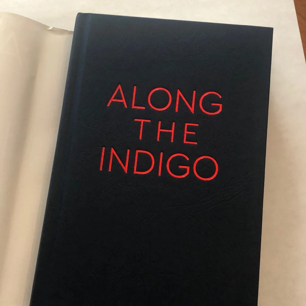 Along The Indigo by Elsie Chapman Hardcover Book